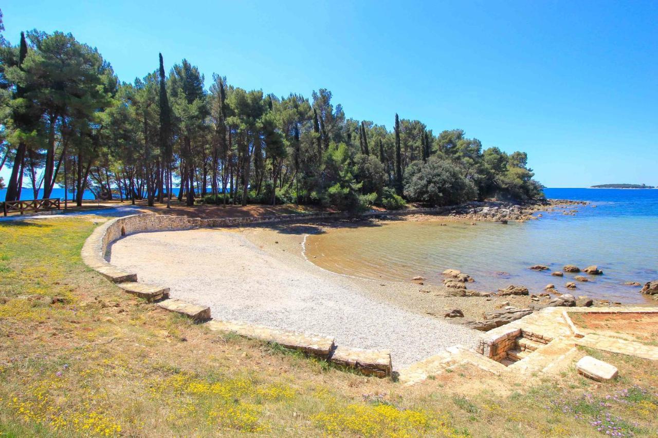 Vila Una With Private Pool Near Rovinj - Open 2022 Rovinjsko Selo Exterior photo